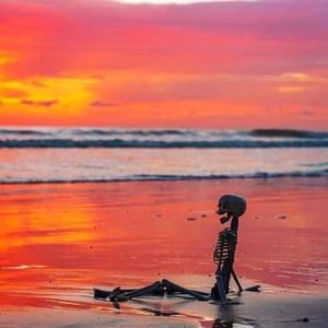 Meet your Posher, Craig